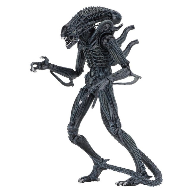 NECA  Aliens Ultimate Action Figure Warrior (1986) Blue 23 cm