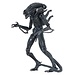 NECA  Aliens Ultimate Action Figure Warrior (1986) Blue 23 cm