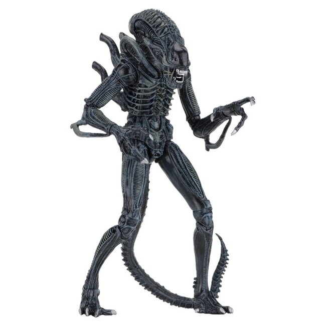 Aliens Ultimate Actionfigur Krieger (1986) Blau 23 cm