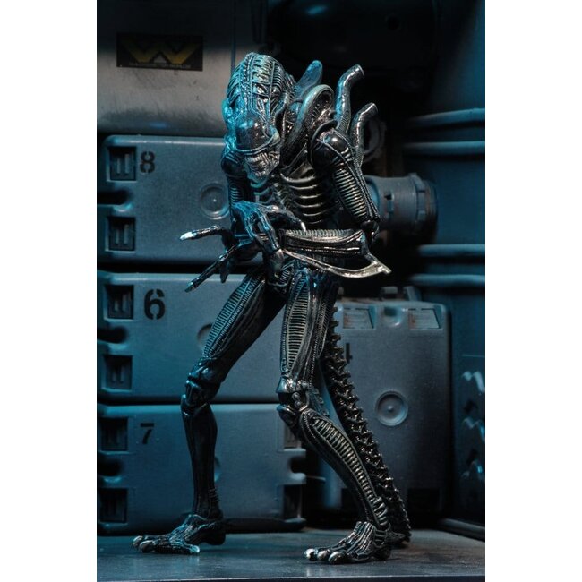 Aliens Ultimate Action Figure Warrior (1986) Blue 23 cm