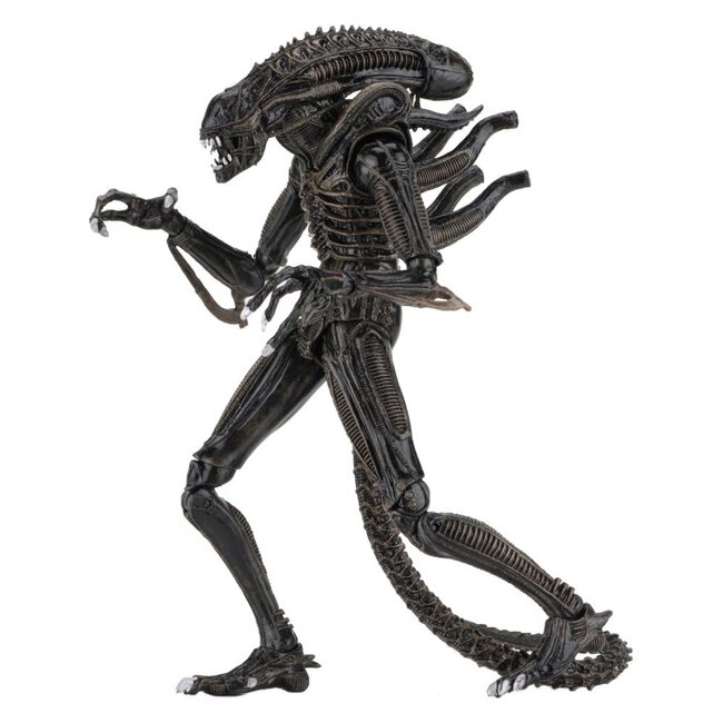 Aliens Ultimate Action Figure Warrior (1986) Brown 23 cm
