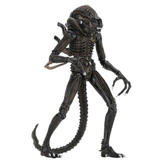 NECA  Aliens Ultimate Action Figure Warrior (1986) Brown 23 cm