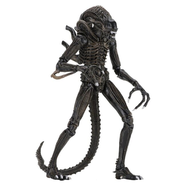 NECA  Aliens Ultimate Action Figure Warrior (1986) Brown 23 cm