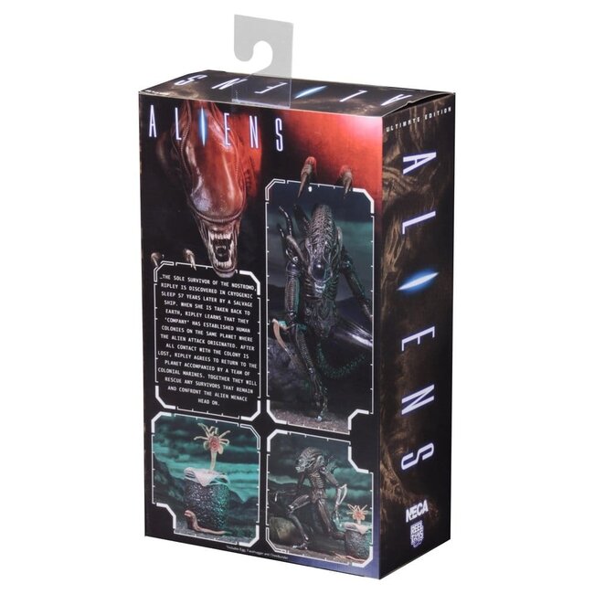 Aliens Ultimate Actionfigur Krieger (1986) Braun 23 cm