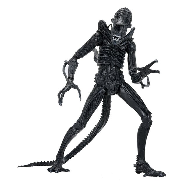 Aliens Ultimate Action Figure Warrior (1986) Xenomorph Black (40th Anniversary) 23 cm
