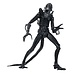 NECA  Aliens Ultimate Actionfigur Krieger (1986) Xenomorph Schwarz (40. Jubiläum) 23 cm