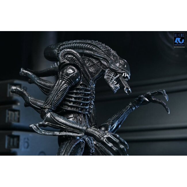 Aliens Ultimate Action Figure Warrior (1986) Xenomorph Black (40th Anniversary) 23 cm