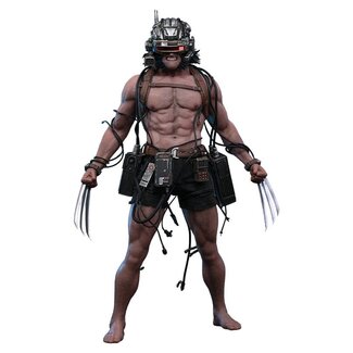 Hot Toys Marvel Comic Masterpiece Actionfigur 1/6 Waffe X 31 cm