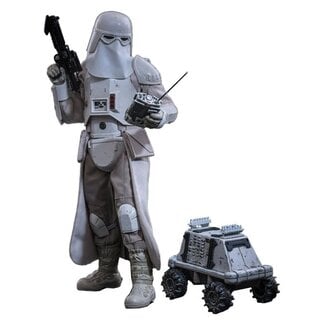 Hot Toys Star Wars: The Mandalorian & Grogu Movie Masterpiece Action Figure 1/6 Imperial Remnant Snowtrooper 30 cm