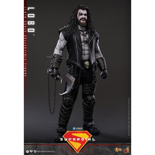 DC Comics Movie Masterpiece Action Figure 1/6 Lobo 33 cm
