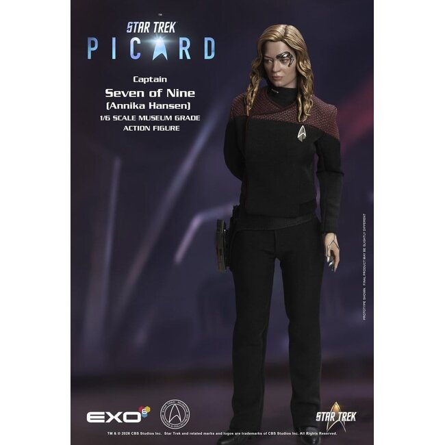 Star Trek: Picard Actionfigur 1/6 Captain Seven of Nine 29 cm