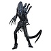 Hot Toys Alien Movie Masterpiece Actionfigur 1/6 Alien Warrior 39 cm