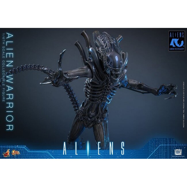 Alien Movie Masterpiece Actionfigur 1/6 Alien Warrior 39 cm