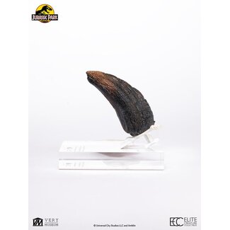 Elite Creature Collectibles Jurassic Park 1/1 Replica Velociraptor Toenail Type A 11 cm