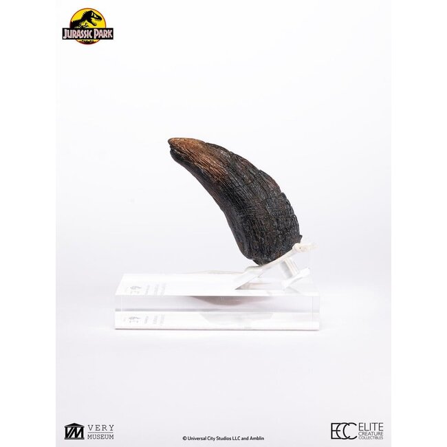 Jurassic Park 1/1 Replica Velociraptor Toenail Type A 11 cm