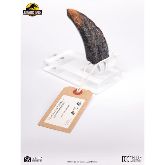 Jurassic Park 1/1 Replica Velociraptor Toenail Type A 11 cm