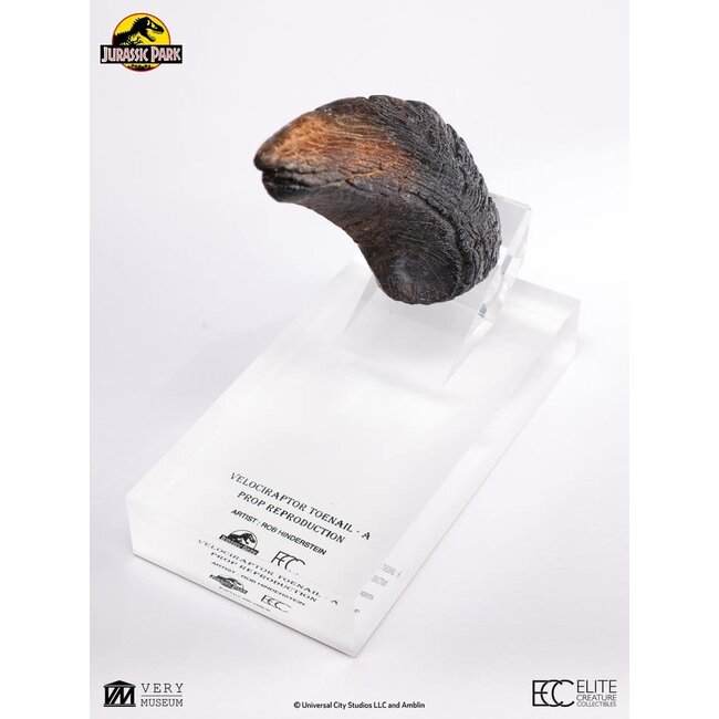 Jurassic Park 1/1 Nachbildung Velociraptor Zehennagel Typ A 11 cm