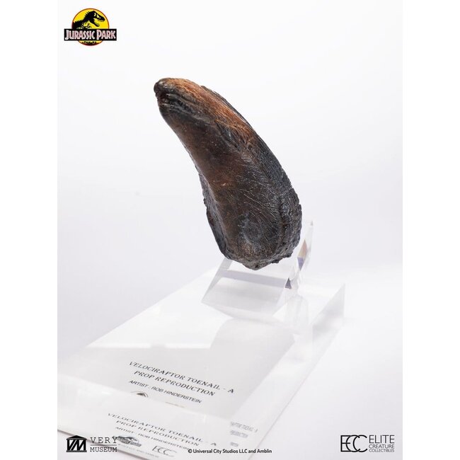 Jurassic Park 1/1 Nachbildung Velociraptor Zehennagel Typ A 11 cm