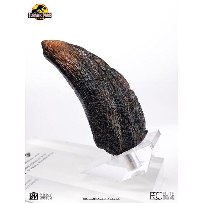 Jurassic Park 1/1 Replica Velociraptor Toenail Type A 11 cm