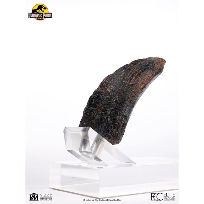 Jurassic Park 1/1 Replica Velociraptor Toenail Type A 11 cm