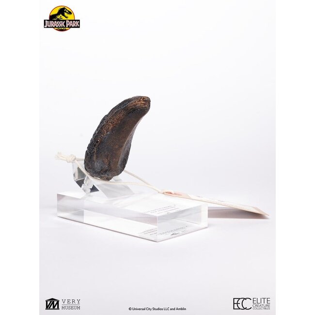 Jurassic Park 1/1 Nachbildung Velociraptor Zehennagel Typ A 11 cm