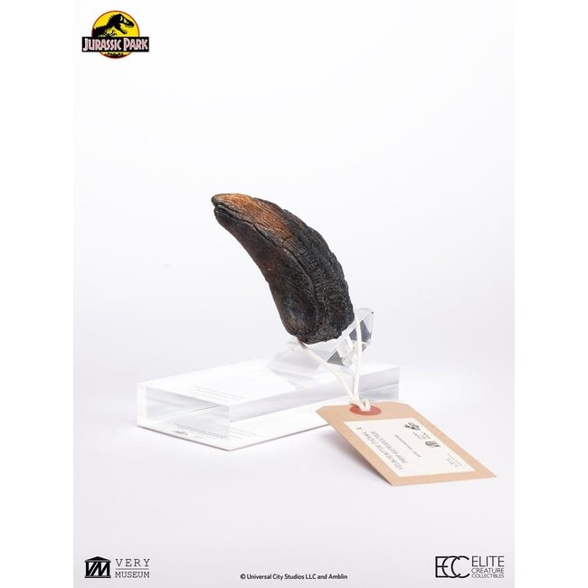 Jurassic Park 1/1 Nachbildung Velociraptor Zehennagel Typ A 11 cm