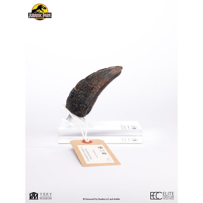 Jurassic Park 1/1 Nachbildung Velociraptor Zehennagel Typ A 11 cm