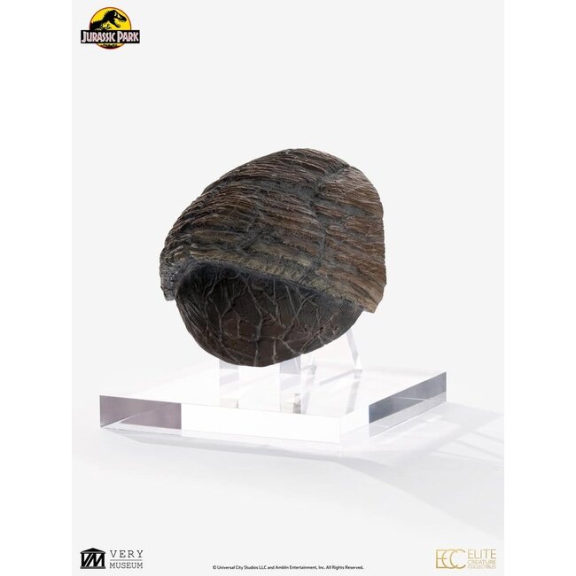 Jurassic Park 1/1 Nachbildung eines Triceratops-Zehennagels, 16 cm