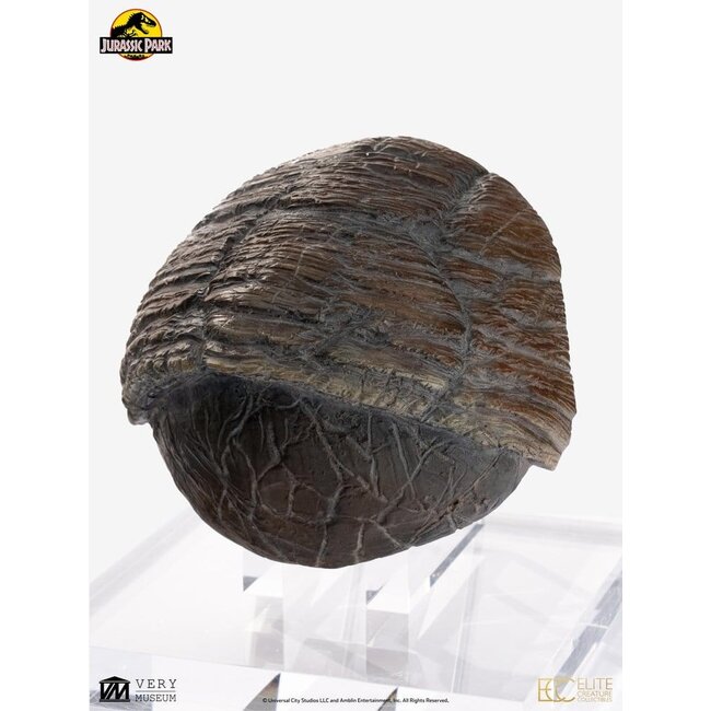 Jurassic Park 1/1 Replica Triceratops Toenail 16 cm