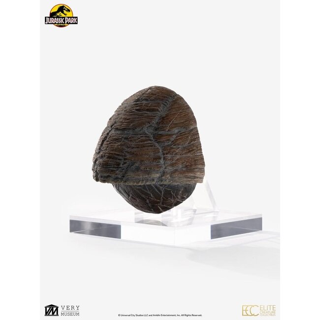 Jurassic Park 1/1 Replica Triceratops Toenail 16 cm