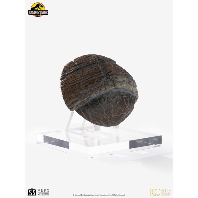 Jurassic Park 1/1 Nachbildung eines Triceratops-Zehennagels, 16 cm