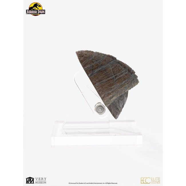 Jurassic Park 1/1 Nachbildung eines Triceratops-Zehennagels, 16 cm