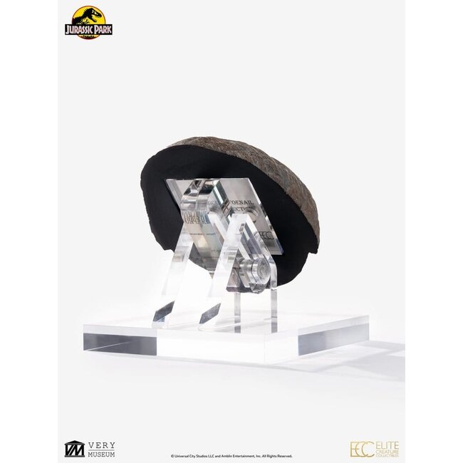 Jurassic Park 1/1 Replica Triceratops Toenail 16 cm