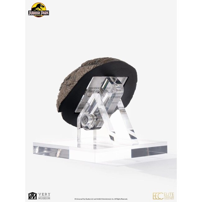 Jurassic Park 1/1 Replica Triceratops Toenail 16 cm