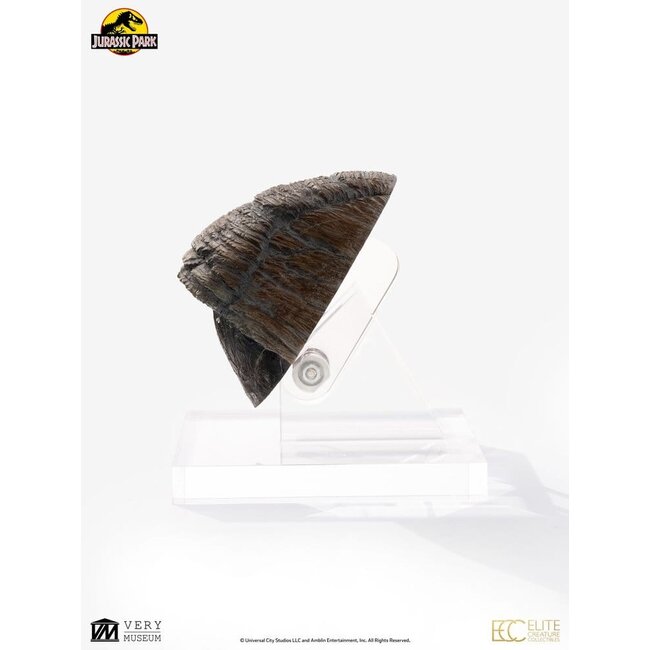 Jurassic Park 1/1 Replica Triceratops Toenail 16 cm