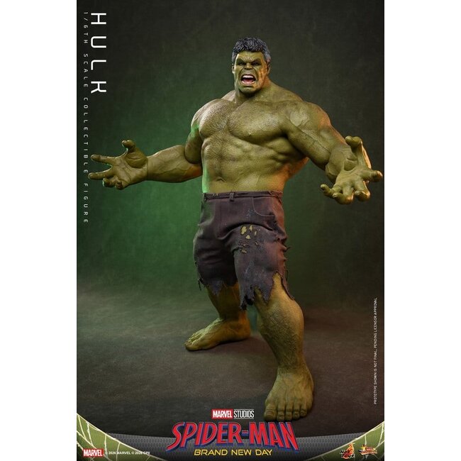 Spider-Man: Brand New Day Action Figure 1/6 Hulk 51 cm