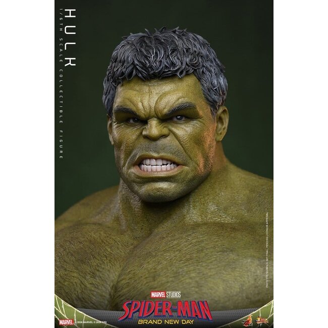 Spider-Man: Brand New Day Action Figure 1/6 Hulk 51 cm