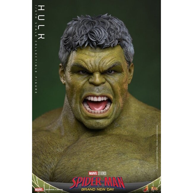 Spider-Man: Brand New Day Action Figure 1/6 Hulk 51 cm