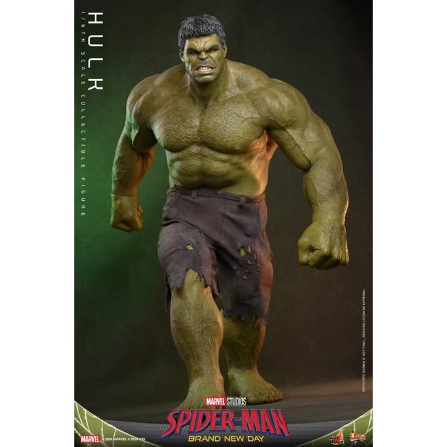 Spider-Man: Brand New Day Action Figure 1/6 Hulk 51 cm