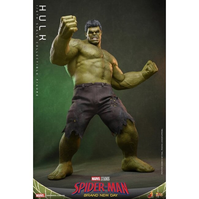 Spider-Man: Brand New Day Action Figure 1/6 Hulk 51 cm