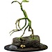 Prime 1 Studio Phantastische Tierwesen Statue Pickett 27 cm Prime 1 Studio Phantastische Tierwesen Statue Pickett 27 cm