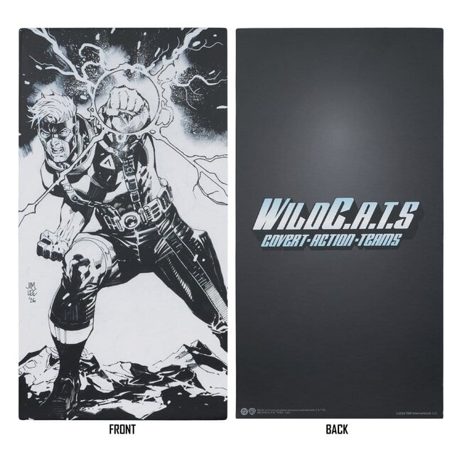 WildC.A.T.S Elite Edition Image Comic Founders Series Deluxe Action Figure Spartan 19 cm