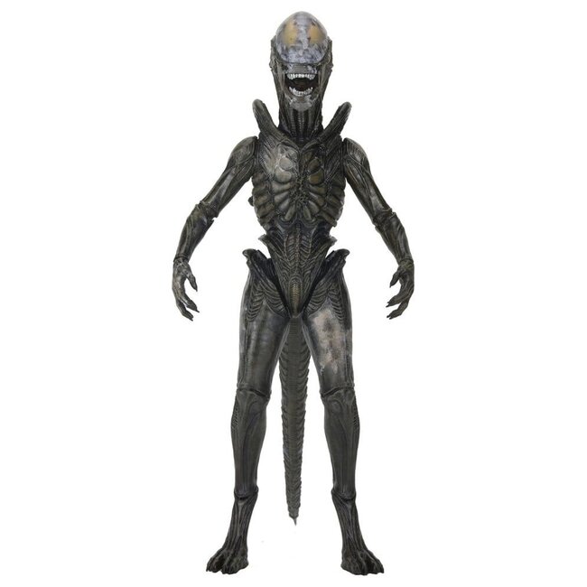 Alien: Earth Ultimate Action Figure Wendy's Xenomorph 18 cm