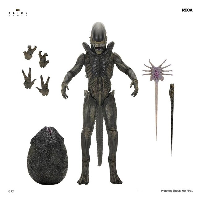 Alien: Earth Ultimate Action Figure Xenomorph 18 cm