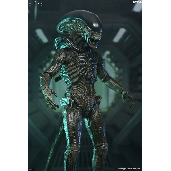 Alien: Earth Ultimate Action Figure Xenomorph 18 cm