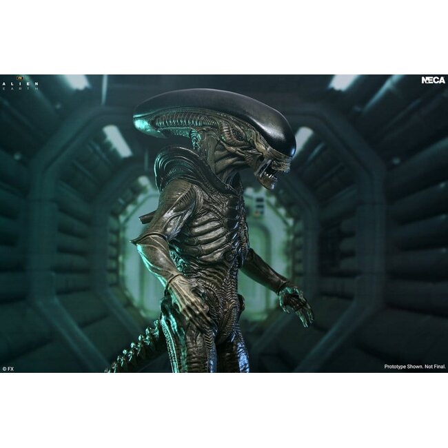 Alien: Earth Ultimate Action Figure Xenomorph 18 cm