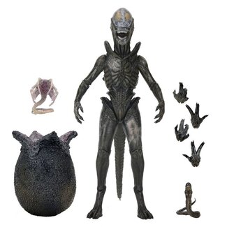 NECA  Alien: Earth Ultimate Action Figure Wendy's Xenomorph 18 cm