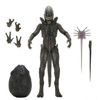 NECA  Alien: Earth Ultimate Action Figure Xenomorph 18 cm