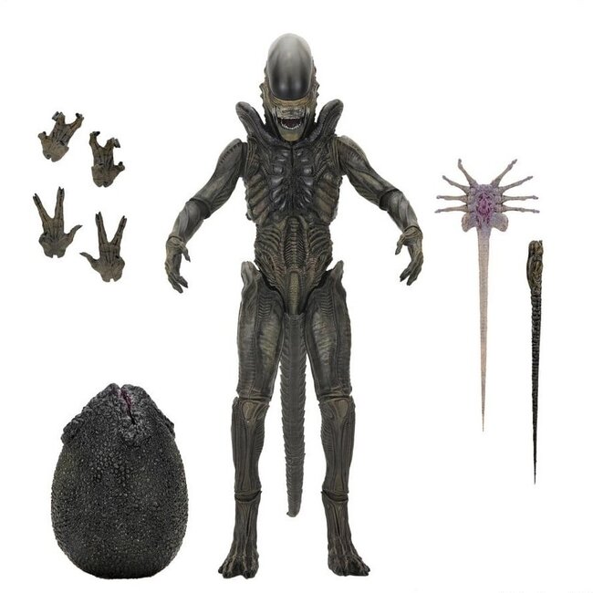 Alien: Earth Ultimate Action Figure Xenomorph 18 cm
