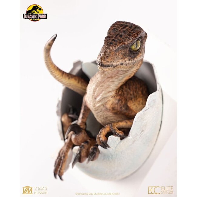 Jurassic Park Replica Bust Velociraptor Hatching Egg 24 cm